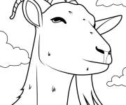 Coloriage Visage de ch&egrave;vre avec menton poilu et cornes