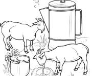 Coloriage Voyage au lait de ch&egrave;vre