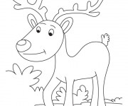 Coloriage Caribou se promène