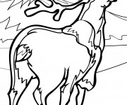 Coloriage Caribou vecteur maternelle