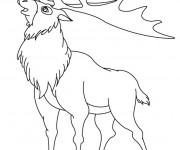 Coloriage Le Caribou d’Amérique