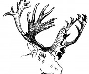 Coloriage Tête de Caribou