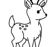 Coloriage Biche animal en noir et blanc