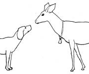 Coloriage Biche et chien
