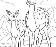 Coloriage Biche et faon en ligne