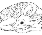 Coloriage Biche se repose apr&egrave;s la balade avec son petit