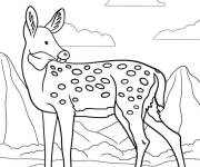 Coloriage Biche simple