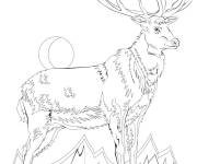 Coloriage Cerf adulte &agrave; imprimer