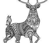 Coloriage Cerf anti-stress
