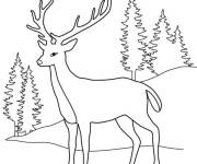 Coloriage et dessins gratuit Cerf dans la foret à imprimer