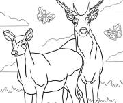 Coloriage Cerf et biche mignons avec des motifs