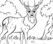 Coloriage Cerf heureux dans la nature