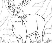 Coloriage Cerf imprimable ps