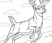 Coloriage Cerf male en sautant
