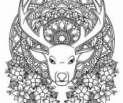 Coloriage Cerf mandala &agrave; t&eacute;l&eacute;charger