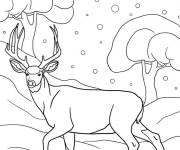 Coloriage Cerf pendant l'hiver
