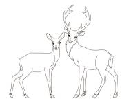 Coloriage Couple de cerf et biche