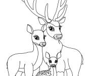 Coloriage et dessins gratuit Famille de Cerf, biche et leur petit faon à imprimer