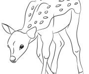 Coloriage et dessins gratuit Faon en mangeant  à imprimer