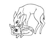 Coloriage Faon et sa m&egrave;re