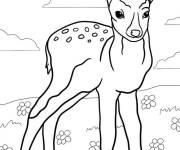Coloriage Faon mignon apprend a marcher