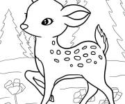 Coloriage Faon pendant la nuit dans la foret