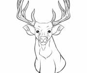 Coloriage Illustration t&ecirc;te de cerf