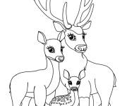 Coloriage La famille d'un cerf avec la biche et le petit faon