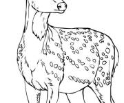 Coloriage Le cerf avec ses bois