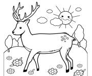 Coloriage Sc&egrave;ne de Cerf dans la nature