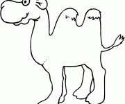 Coloriage et dessins gratuit Chameau avec ses deux bosses à imprimer