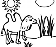 Coloriage Chameau dans la Savane