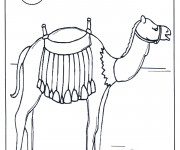 Coloriage Chameau dans le Sahara