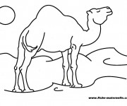 Coloriage Chameau dans les dunes