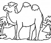 Coloriage Chameau egyptien