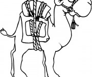 Coloriage et dessins gratuit Chameau et bagage à imprimer