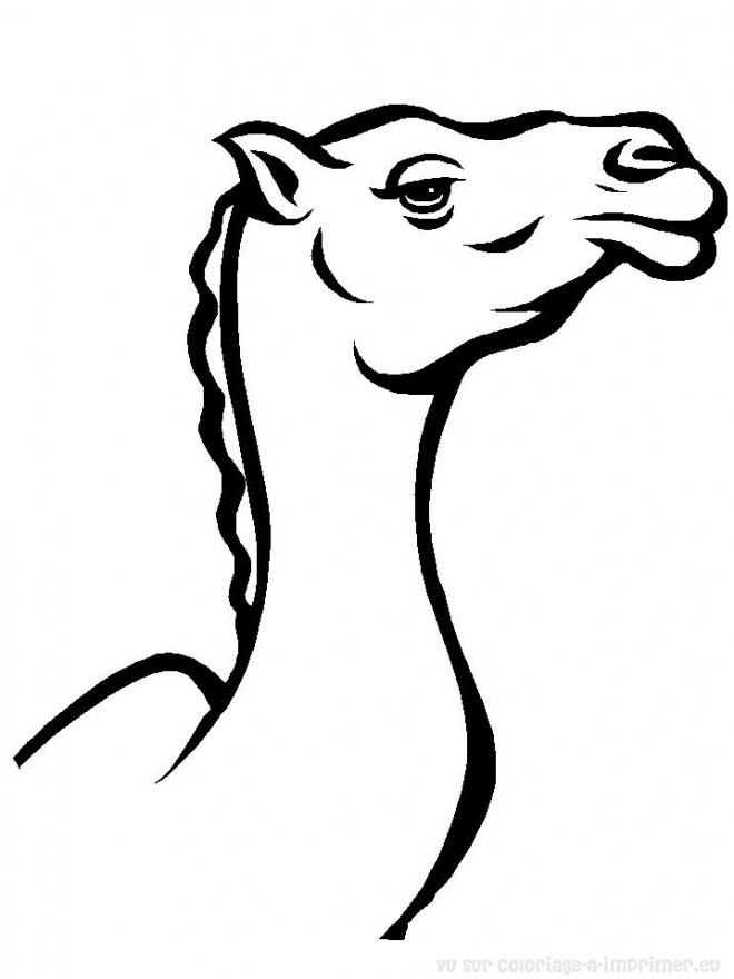 Coloriage et dessins gratuits Tête de chameau à imprimer