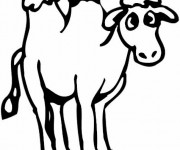 Coloriage Un dromadaire dessin pour enfant