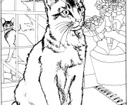 Coloriage Chat &agrave; la maison