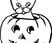 Coloriage Chat citrouille de Halloween dessin gratuit à imprimer