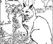 Coloriage Chat dans le jardin de la maison