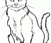 Coloriage Chat dessin pour enfant