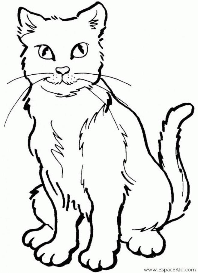 Coloriage Chat Dessin Pour Enfant Dessin Gratuit à Imprimer