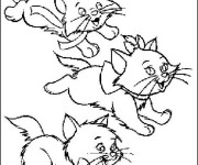 Coloriage Chat en courant