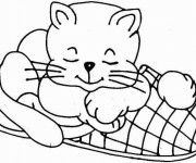 Coloriage Chat en dormant