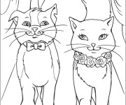 Coloriage Chat et chatte en amour