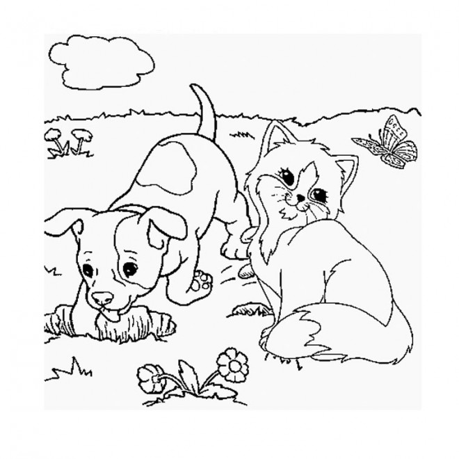 Coloriage Chat Et Chien Dans La Nature Dessin Gratuit A Imprimer