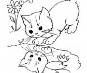 Coloriage Chat et sa r&eacute;flexion dans la rivi&egrave;re