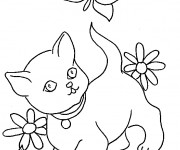 Coloriage et dessins gratuit Chat et une papillon à imprimer