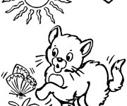 Coloriage Chat joue en plein air